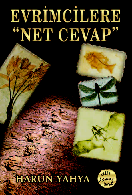 Evrimcilere Net Cevap - 1